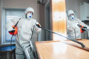 Дезинфекция в Домодедово: заботимся о здоровье и благополучии вашего дома