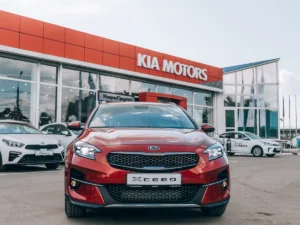Почему выбор официального дилера Kia — лучшая идея