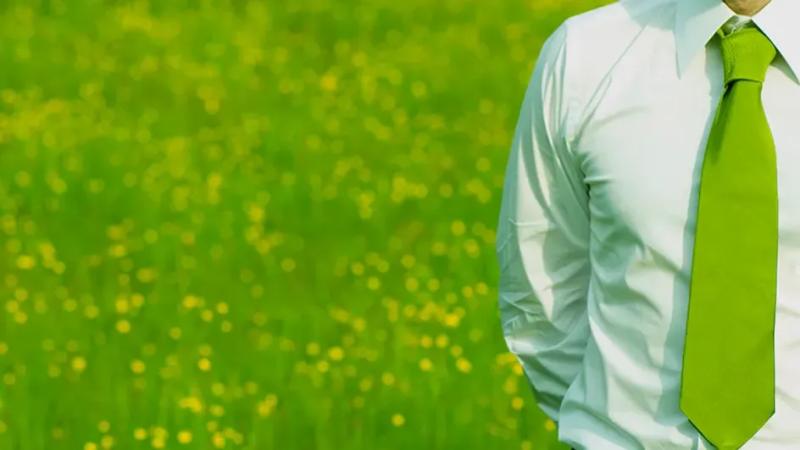 Комары атакуют? Как одеться, чтобы спастись: