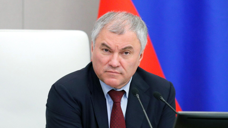 Володин назвал причины удорожания строительства школ