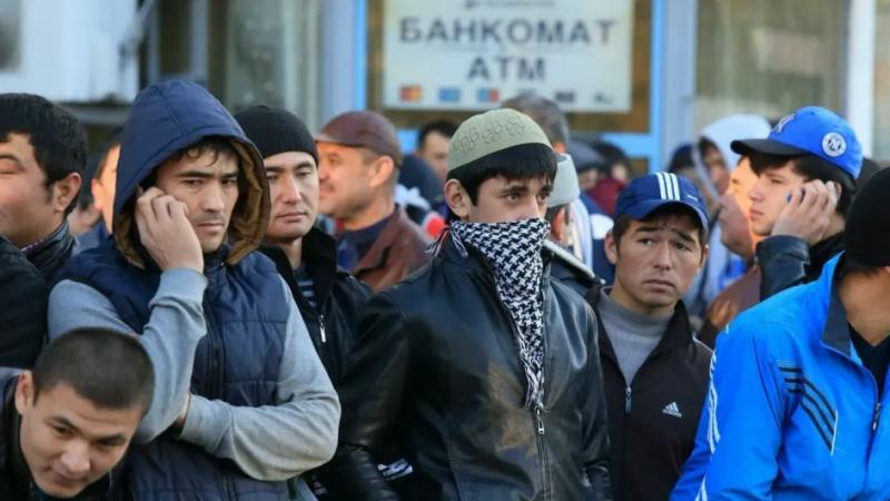 Мигрантов заставят светиться?! Биометрия под контролем!