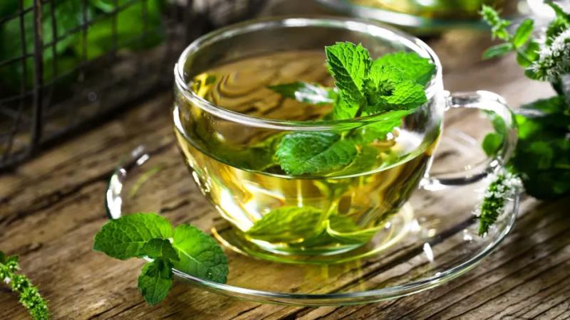 Мята для ума: ученые открыли новый суперфуд!